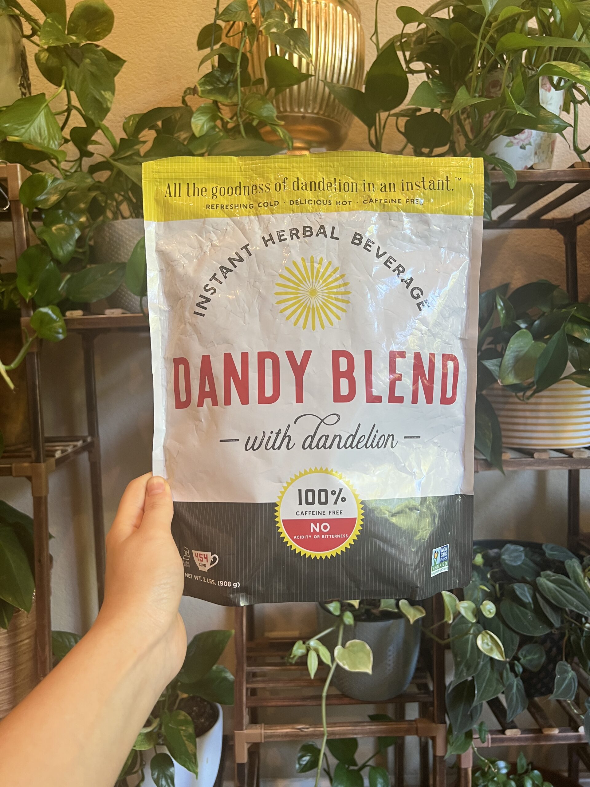 Benefits of Dandy Blend