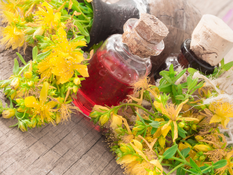 St. John's Wort oil