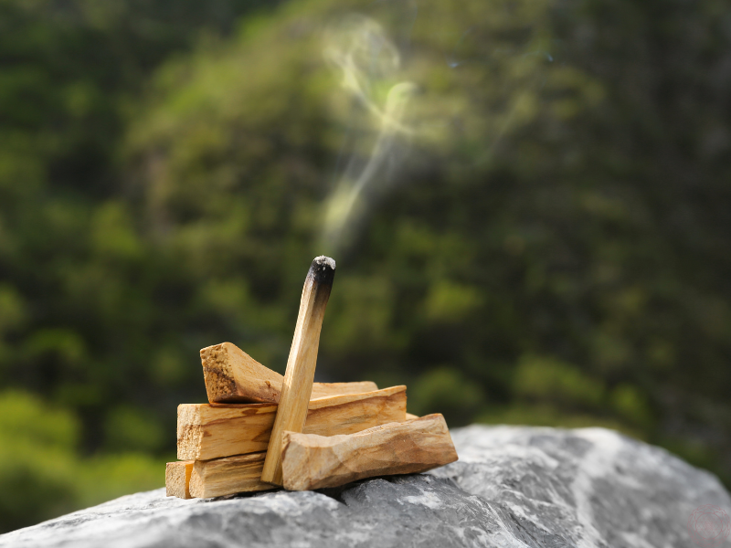 palo santo benefits