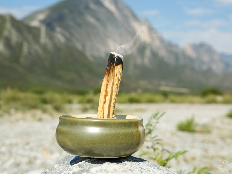 palo santo benefits