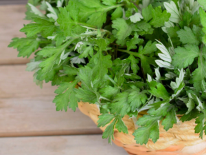 7 Magical Properties of Mugwort You Need to Know - Mantras and Mulberries