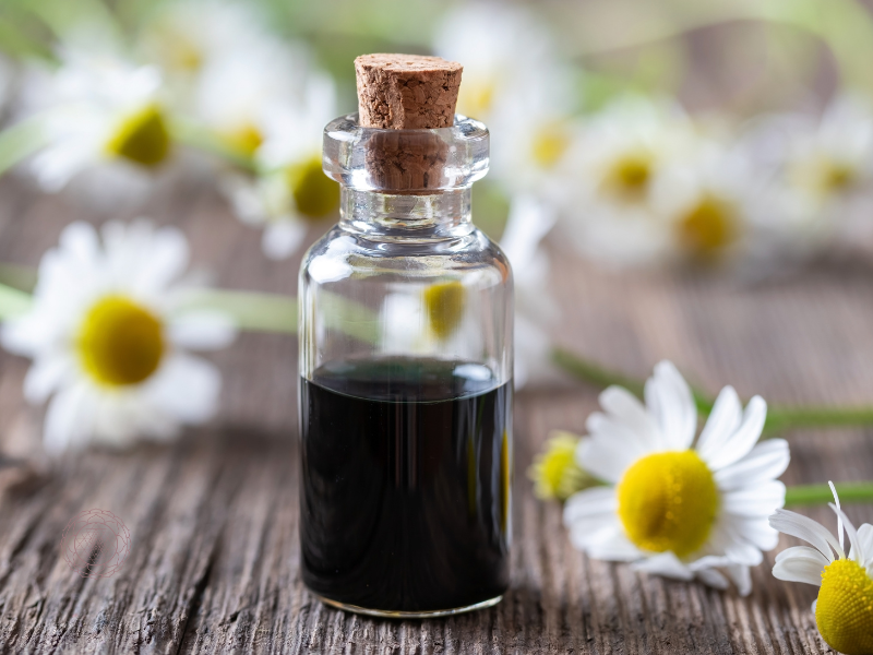 German Chamomile Essential Oil