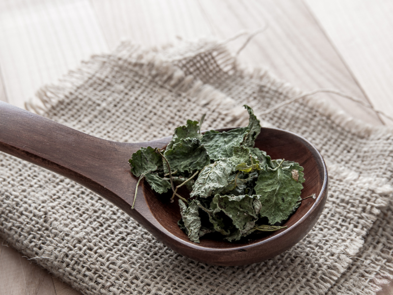 Dried lemon balm in a wooden spoon with a muslin cloth in the background, showcasing its versatility as a herbal remedy.