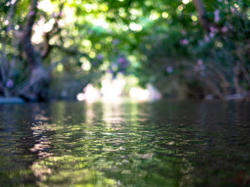 A close-up of rippling water in a creek, symbolizing the continuous movement and subtle guidance of dharma in one’s life journey.
