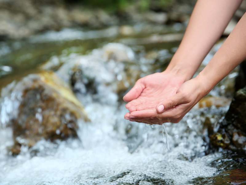 A close-up of a woman's hands cupping water from a rushing creek, symbolizing the doorway of touch and the purifying, flowing nature of perception.