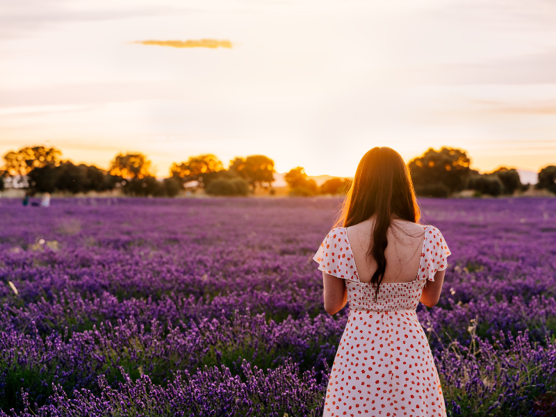 Woman wearing a dress gazing at a lavender field during sunset, symbolizing the journey of finding your north star.