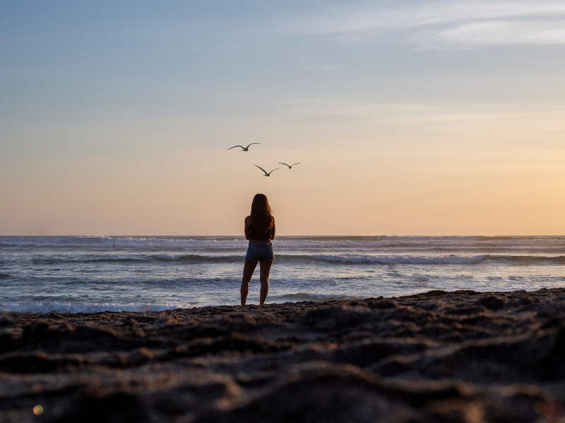 Woman standing on the beach looking at the ocean as birds fly overhead, symbolizing starseed freedom and expansion.