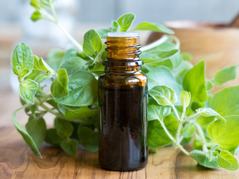 Close up of an essential oil bottle with fresh thyme in the background, representing herbal oils that enhance alertness and vitality.