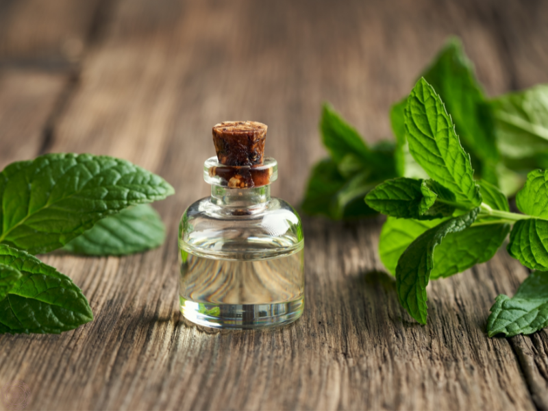 Close up of an essential oil bottle surrounded by fresh mint leaves, evoking feelings of refreshment and invigoration.