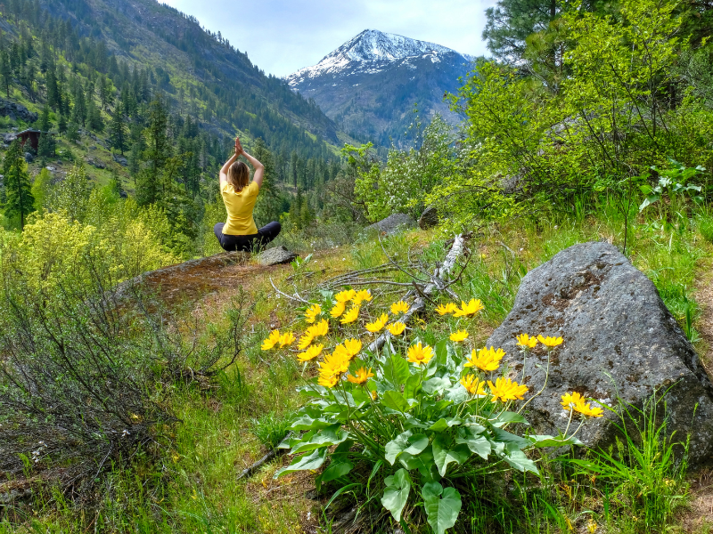 Back view of a woman meditating in a lush green meadow, embodying peace, presence, and the grounding energy of a new vibrational timeline.